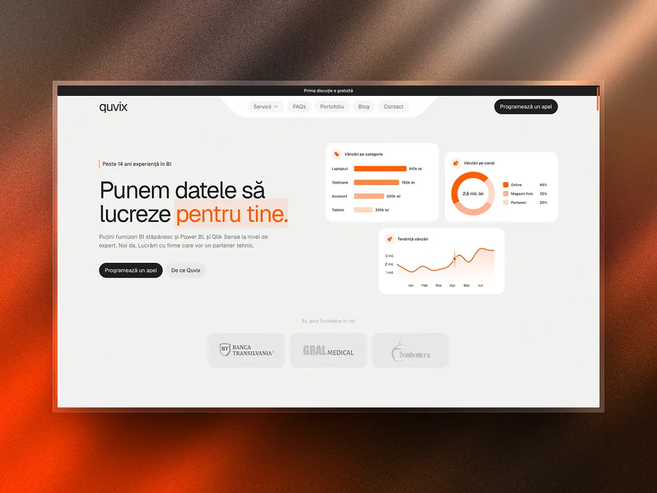 Quvix data consultancy website
