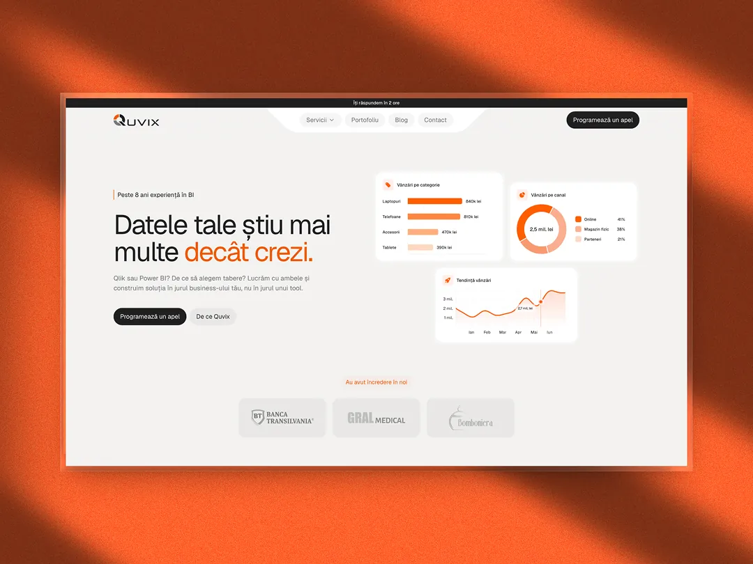 Quvix data consultancy website